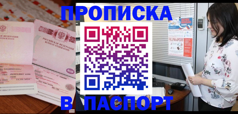 прописка гарантия в Лыткарино